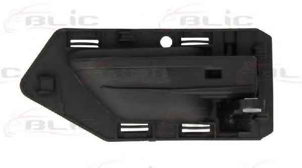 BLIC 6010-21-015409P