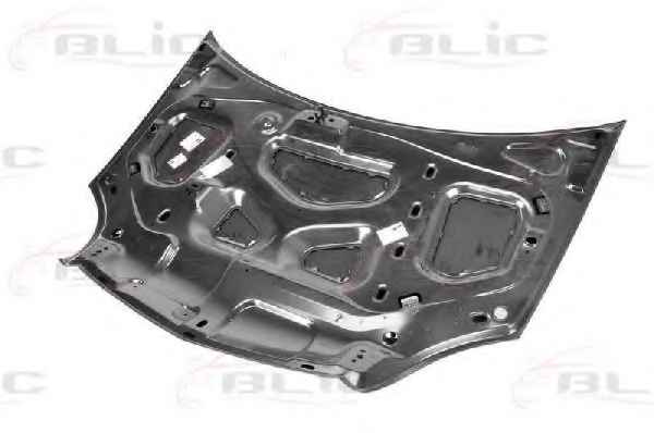 BLIC 6803-00-6010281P