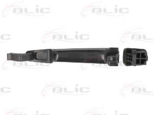 BLIC 6010-21-034402P