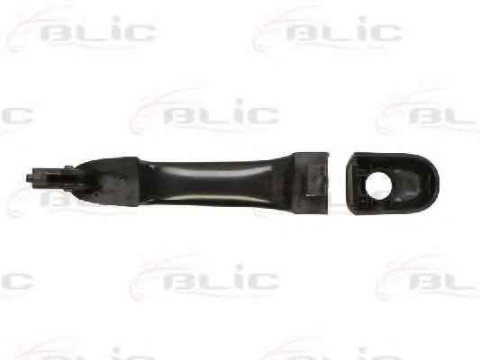 BLIC 6010-53-019402P