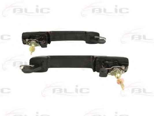 BLIC 6010-01-015407P