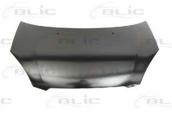 BLIC 6803-00-3265281P