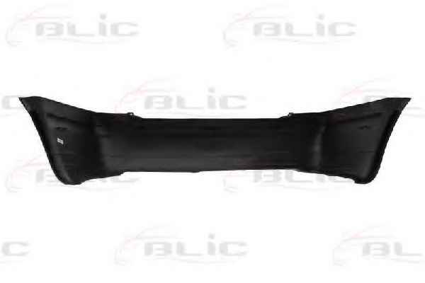 BLIC 5506-00-9539950P