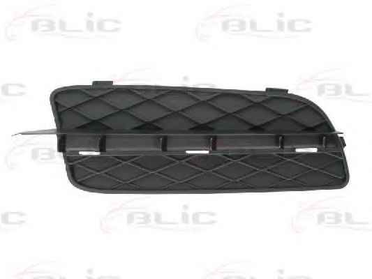 BLIC 6502-07-0096996P