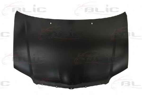 BLIC 6803-00-8116283P