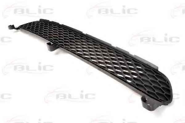 BLIC 6502-07-8101995P