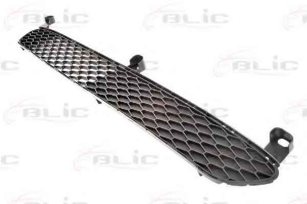 BLIC 6502-07-8101995P