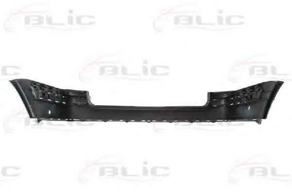 BLIC 5506-00-9539953P