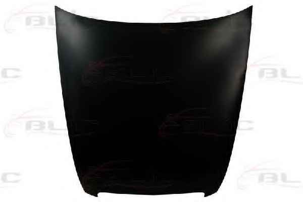 BLIC 6803-00-0031280P