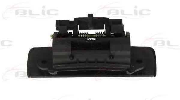 BLIC 6010-08-005403P