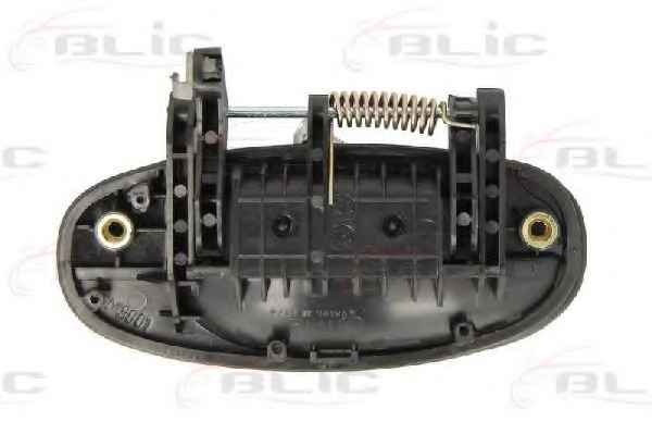 BLIC 6010-56-008403P