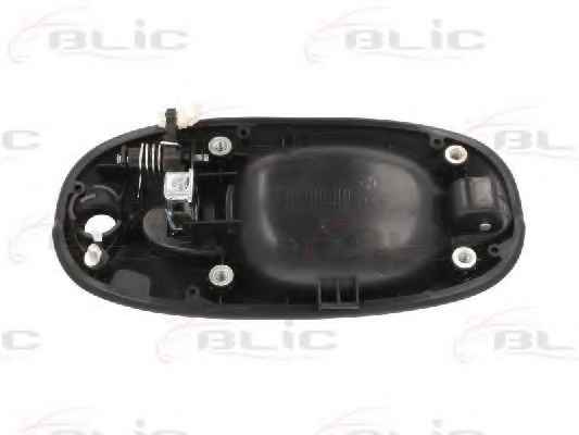 BLIC 6010-53-012401P