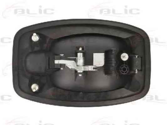 BLIC 6010-07-038402P