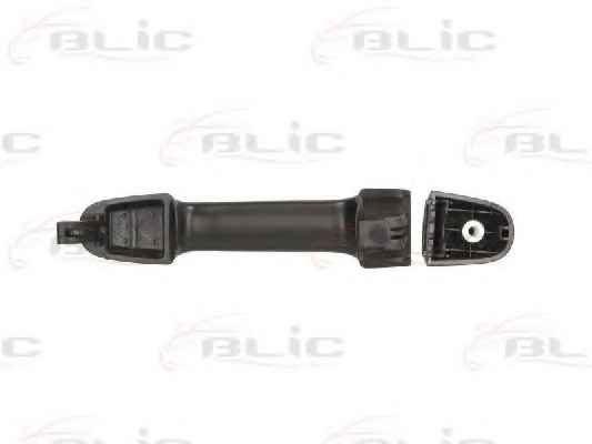 BLIC 6010-20-045402P