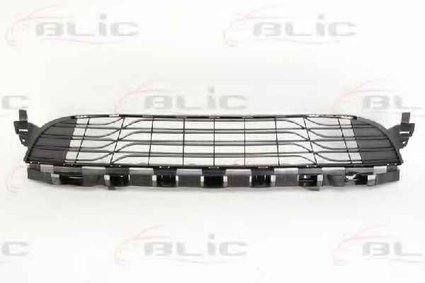 BLIC 5510-00-6043993P