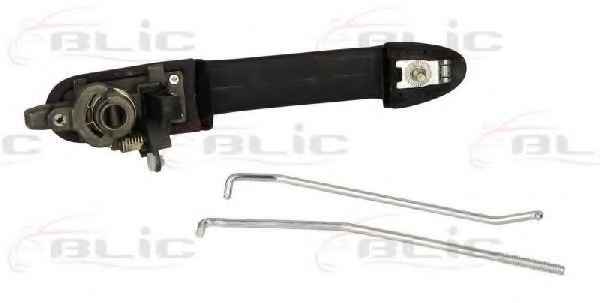 BLIC 6010-07-019402P