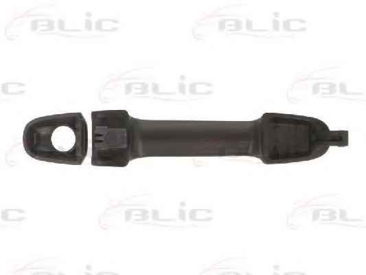 BLIC 6010-20-045401P