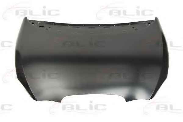 BLIC 6803-00-6613280P