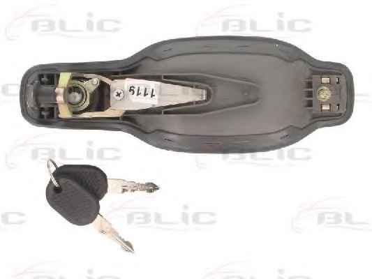 BLIC 6010-30-001402P