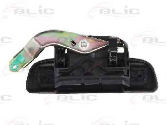 BLIC 6010-21-013401P