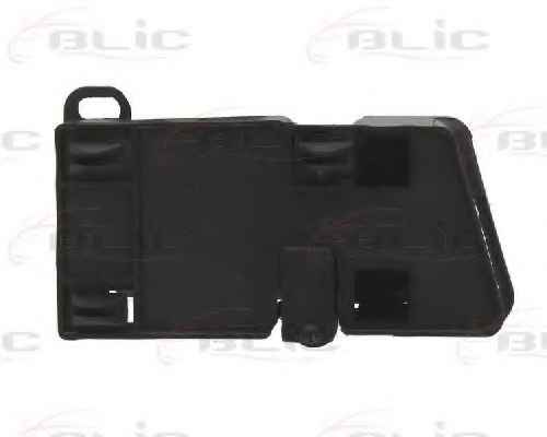 BLIC 6010-01-060409P