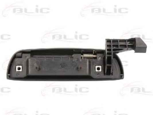 BLIC 6010-07-013403P