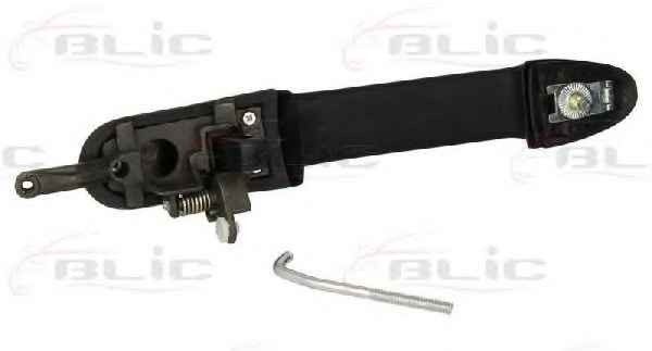BLIC 6010-07-019404P