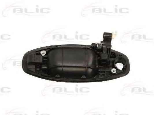 BLIC 6010-20-021402P