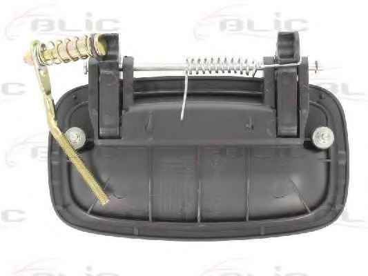 BLIC 6010-53-002403P