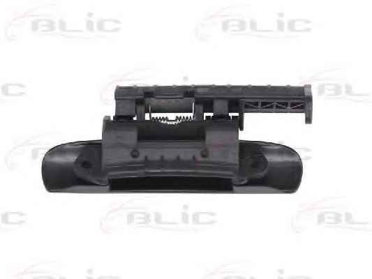BLIC 6010-21-019402P