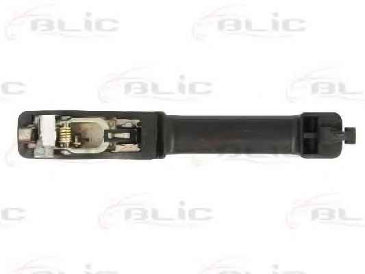 BLIC 6010-01-008404P