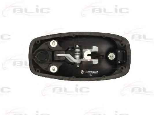 BLIC 6010-07-043402P