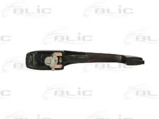 BLIC 6010-01-012405P