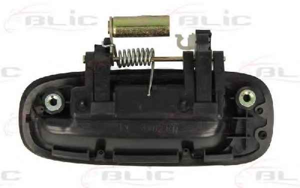 BLIC 6010-19-030404P