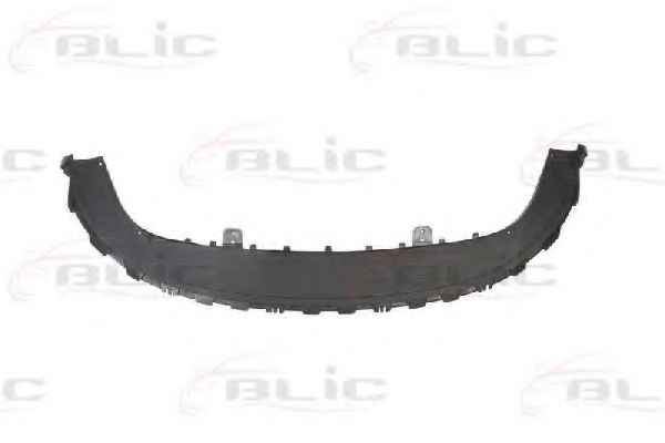 BLIC 5510-00-6621902P