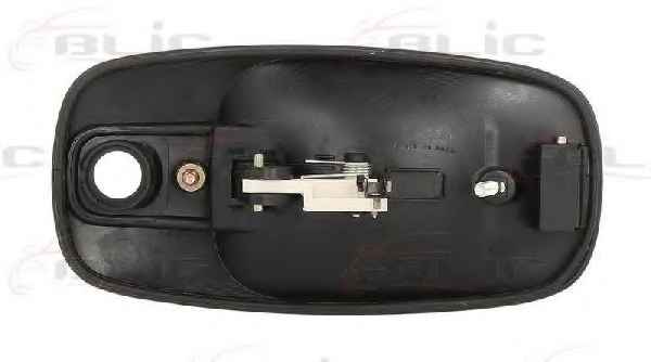 BLIC 6010-09-041401P