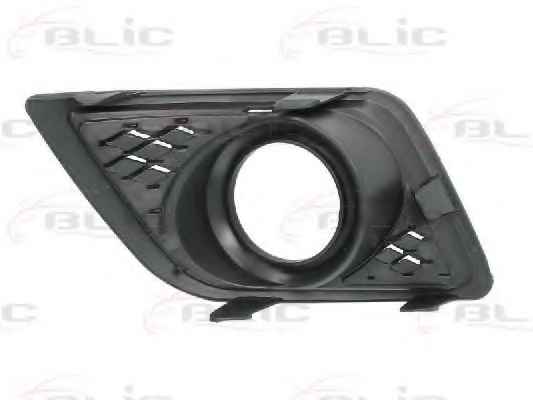 BLIC 5513-00-2564925P