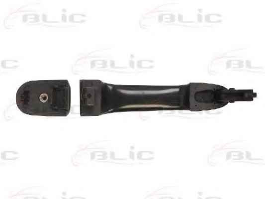 BLIC 6010-53-013404P