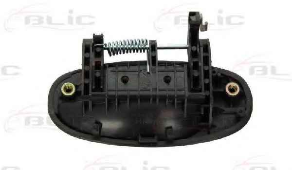 BLIC 6010-56-008404P