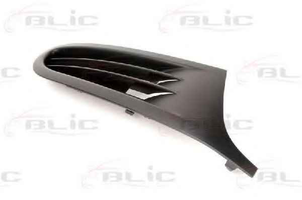 BLIC 6502-07-9534994P