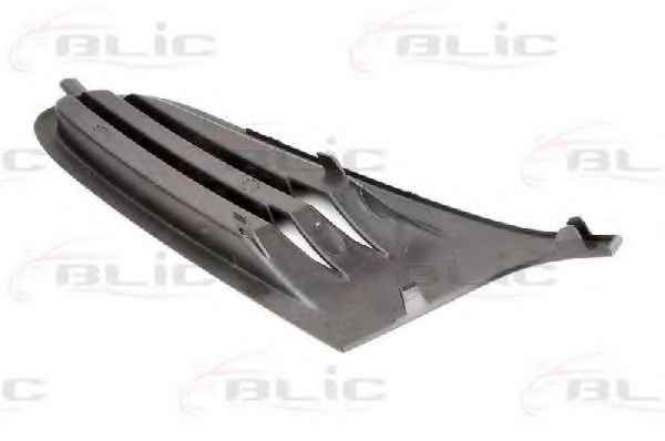 BLIC 6502-07-9534994P