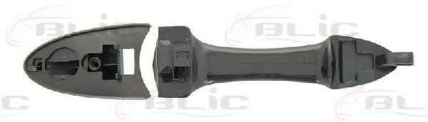 BLIC 6010-03-028406P