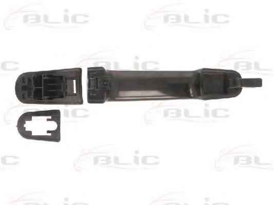 BLIC 6010-03-039402P