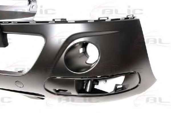 BLIC 5510-00-0519901P