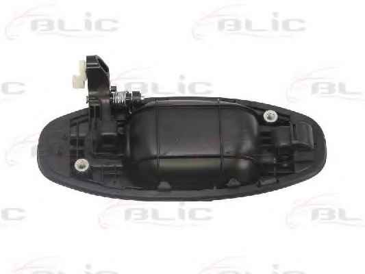 BLIC 6010-20-021403P