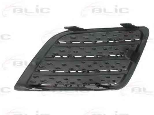 BLIC 5513-00-2564924P