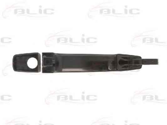 BLIC 6010-56-009401P