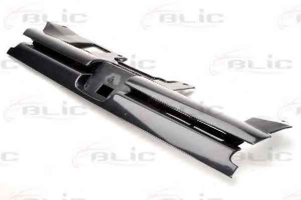 BLIC 6502-07-5513991P