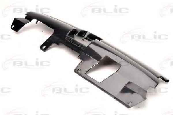 BLIC 6502-07-5513991P