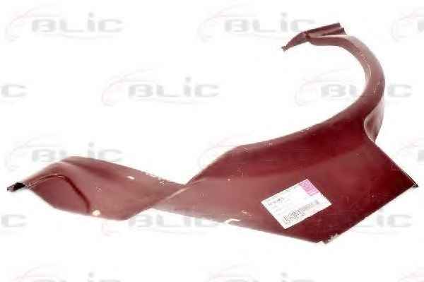 BLIC 6504-03-8110585P